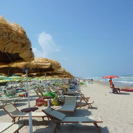 Lägenhet Iris 1 - *